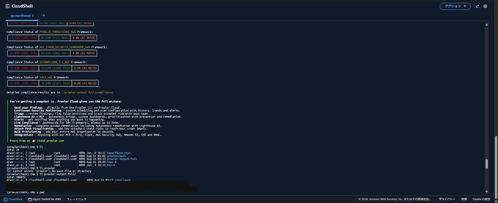 20260822_prowler-cli-output-files.jpg