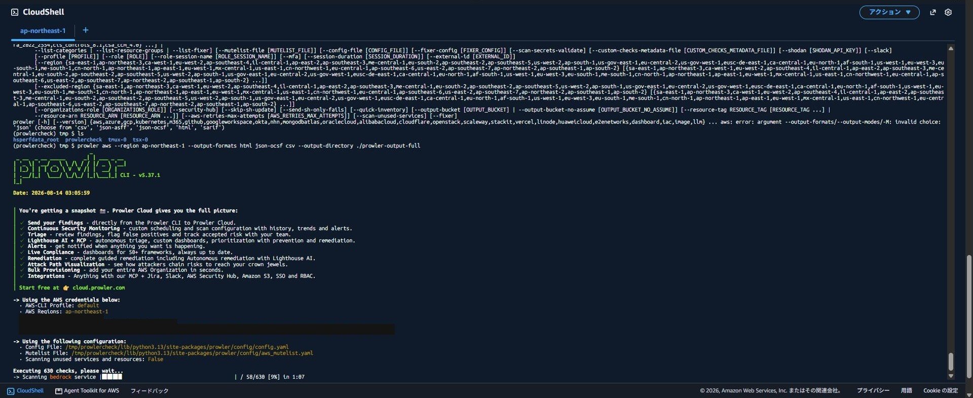 20260822_prowler-cli-scan-start.jpg