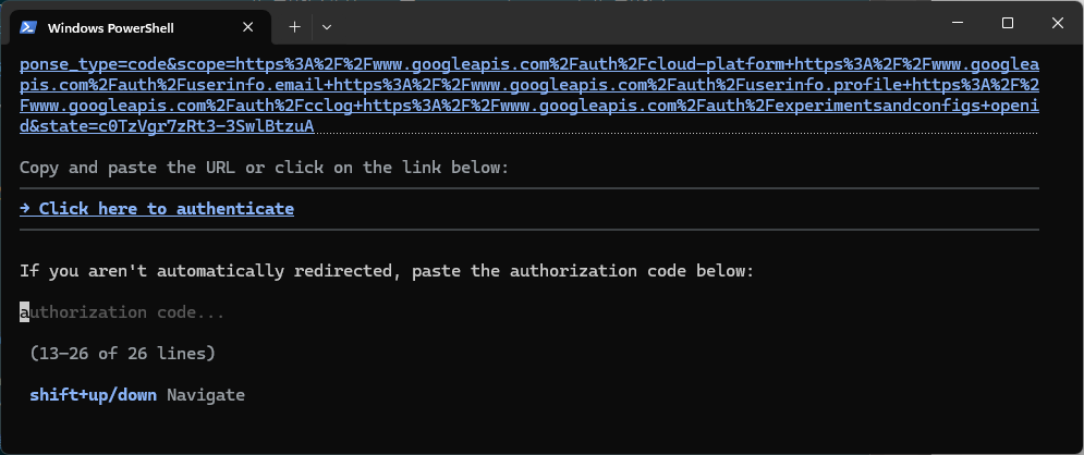 20260824_agy-cli-auth-scope_crop.png