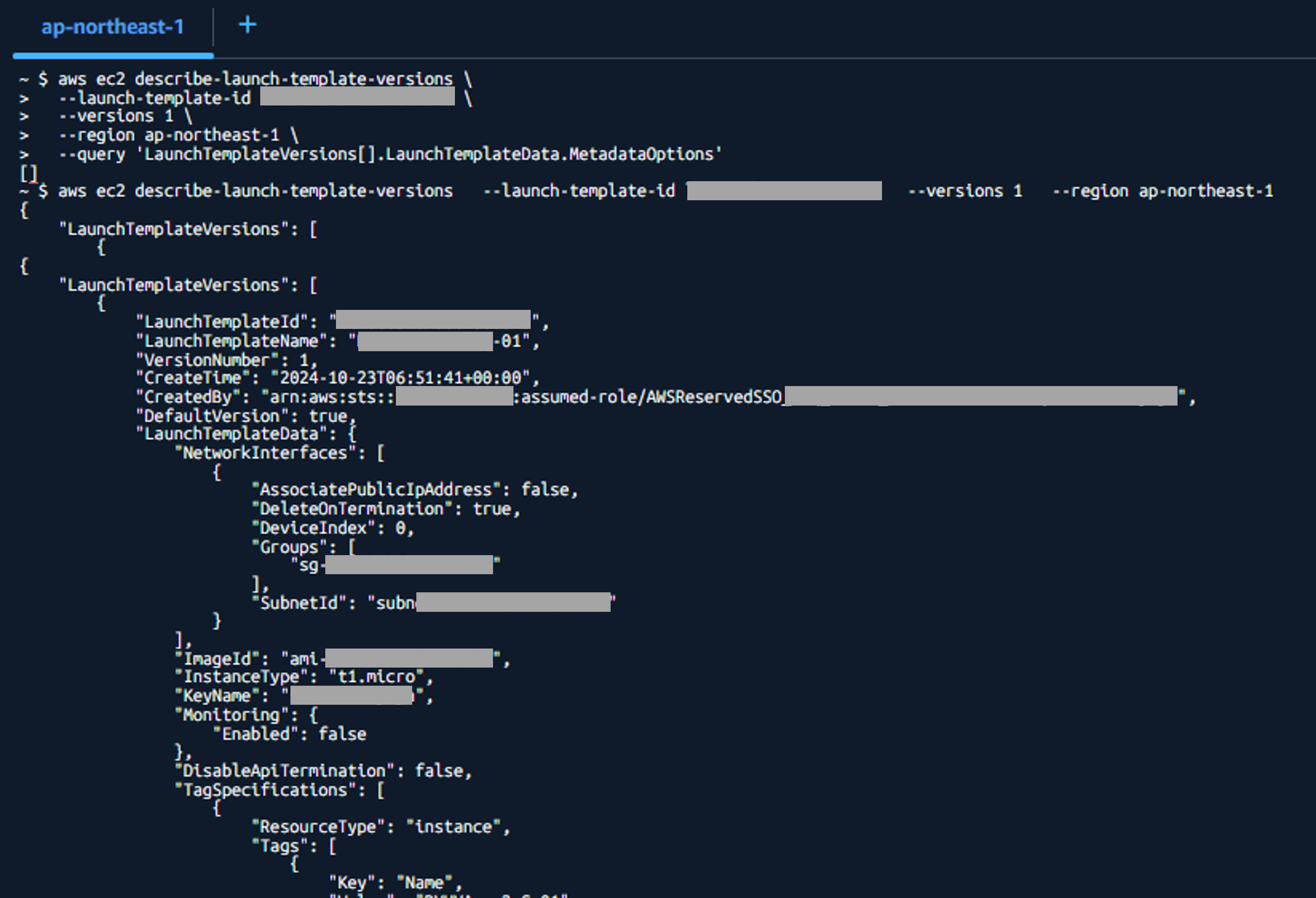 20260824_launch-template-metadata-cli.png