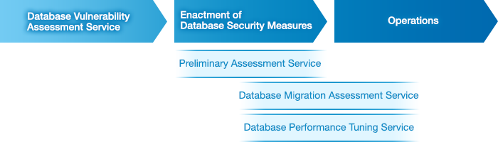 Vulnerability Assessment Options