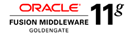 ORACLE 11g