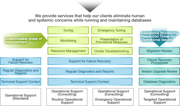 We provide services that help our clients eliminate human and systemic concerns while running and maintaining databases