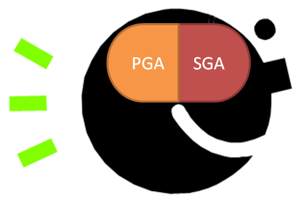 Instance Memory PGA SGA